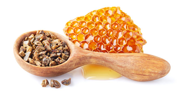 Propolis.jpg